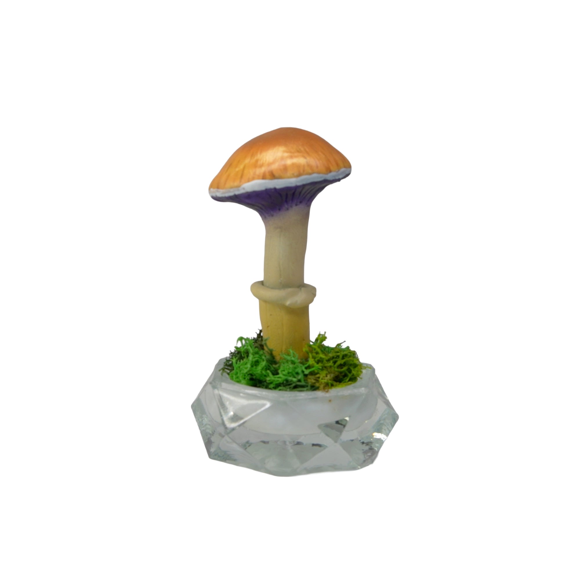 SPY26S7 • Handmade Magic Mushroom Decor on Thrifted Hexagon Glass Base (2 of 2)