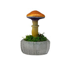 SPY26S4 • Handmade Magic Mushroom Decor on Thrifted Glass Oval Base (2 of 2)