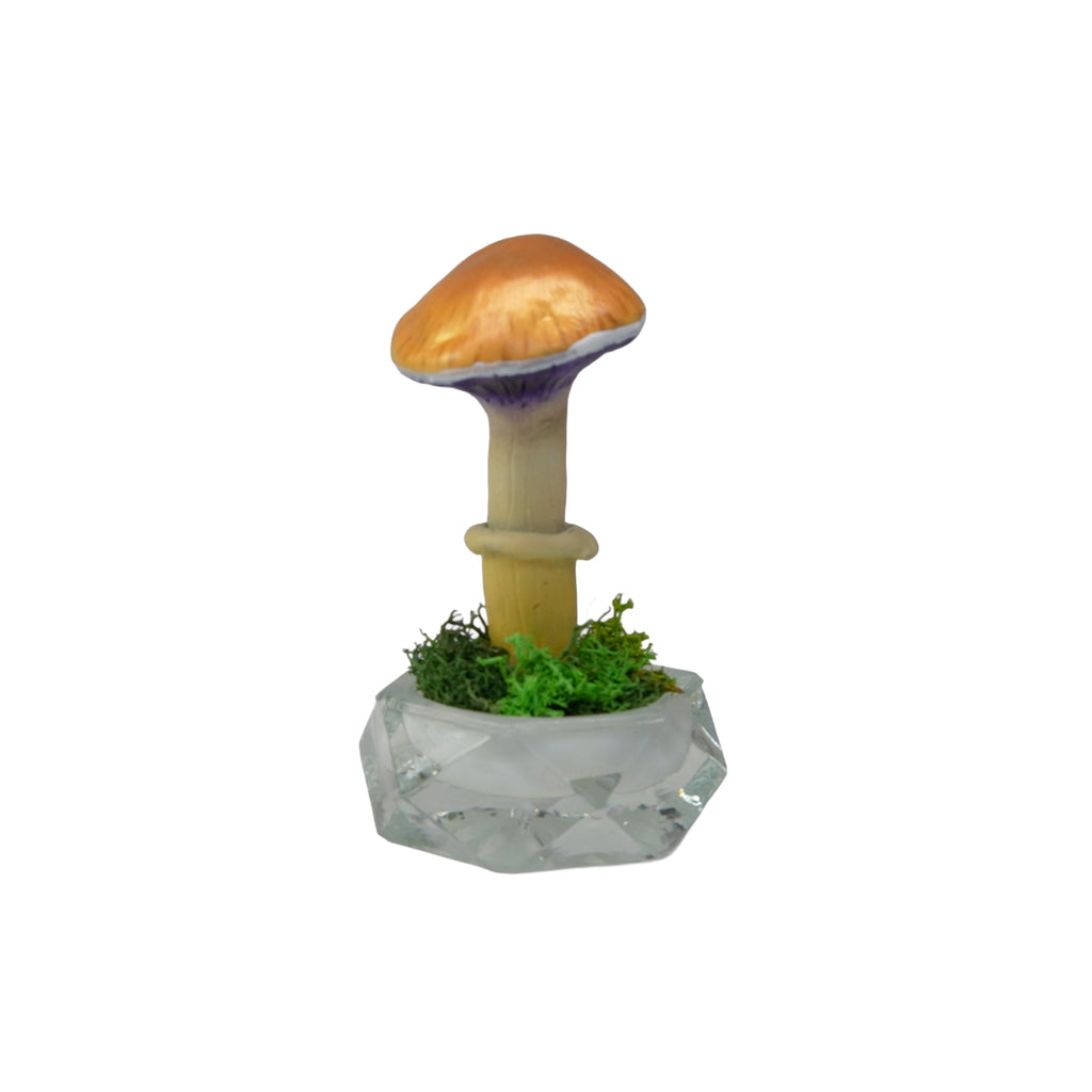 SPY26S7 • Handmade Magic Mushroom Decor on Thrifted Hexagon Glass Base (2 of 2)