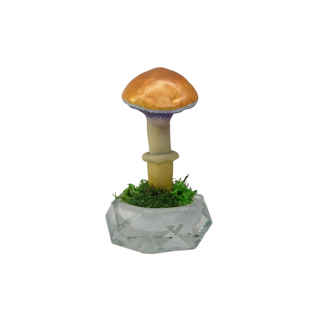 SPY26S7 • Handmade Magic Mushroom Decor on Thrifted Hexagon Glass Base (2 of 2)