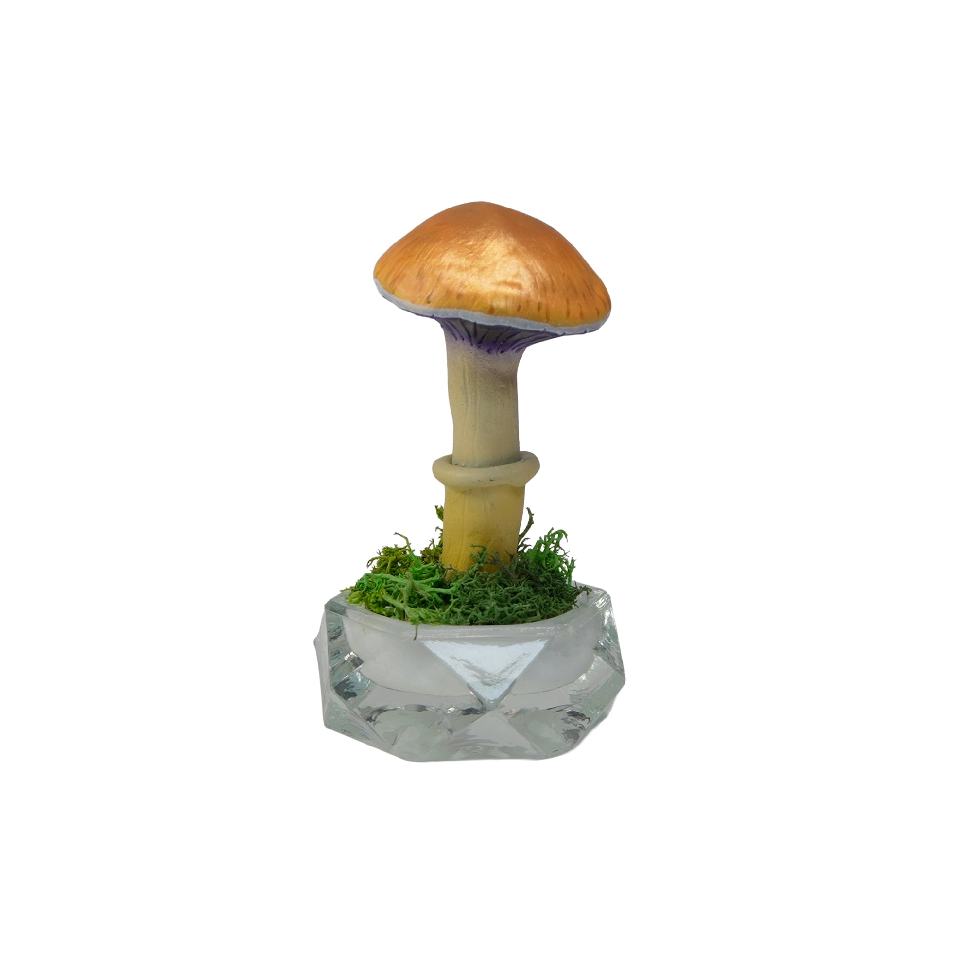 SPY26S7 • Handmade Magic Mushroom Decor on Thrifted Hexagon Glass Base (2 of 2)