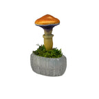 SPY26S4 • Handmade Magic Mushroom Decor on Thrifted Glass Oval Base (2 of 2)
