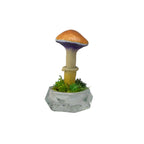 SPY26S7 • Handmade Magic Mushroom Decor on Thrifted Hexagon Glass Base (2 of 2)