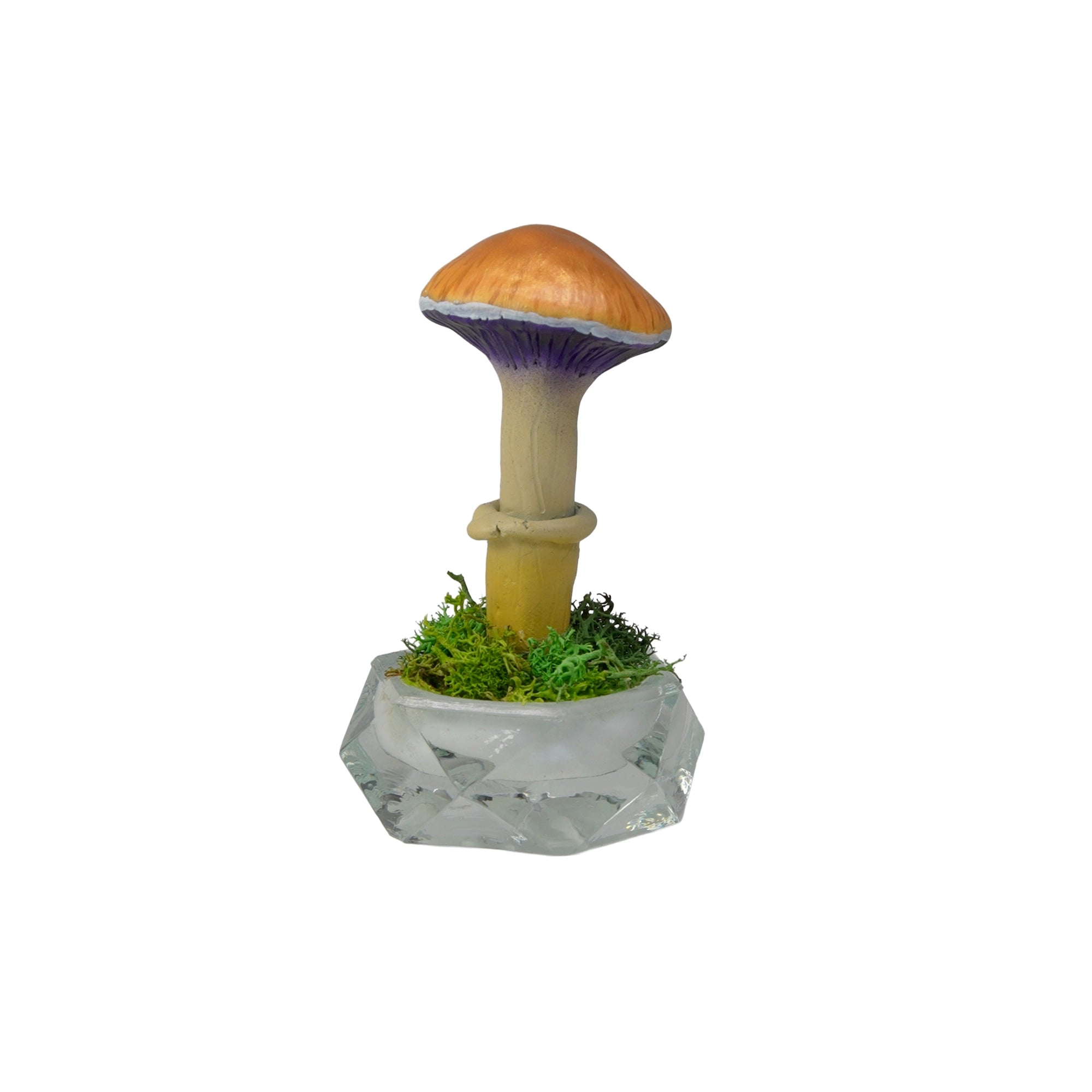 SPY26S7 • Handmade Magic Mushroom Decor on Thrifted Hexagon Glass Base (2 of 2)