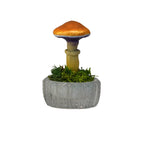 SPY26S4 • Handmade Magic Mushroom Decor on Thrifted Glass Oval Base (2 of 2)