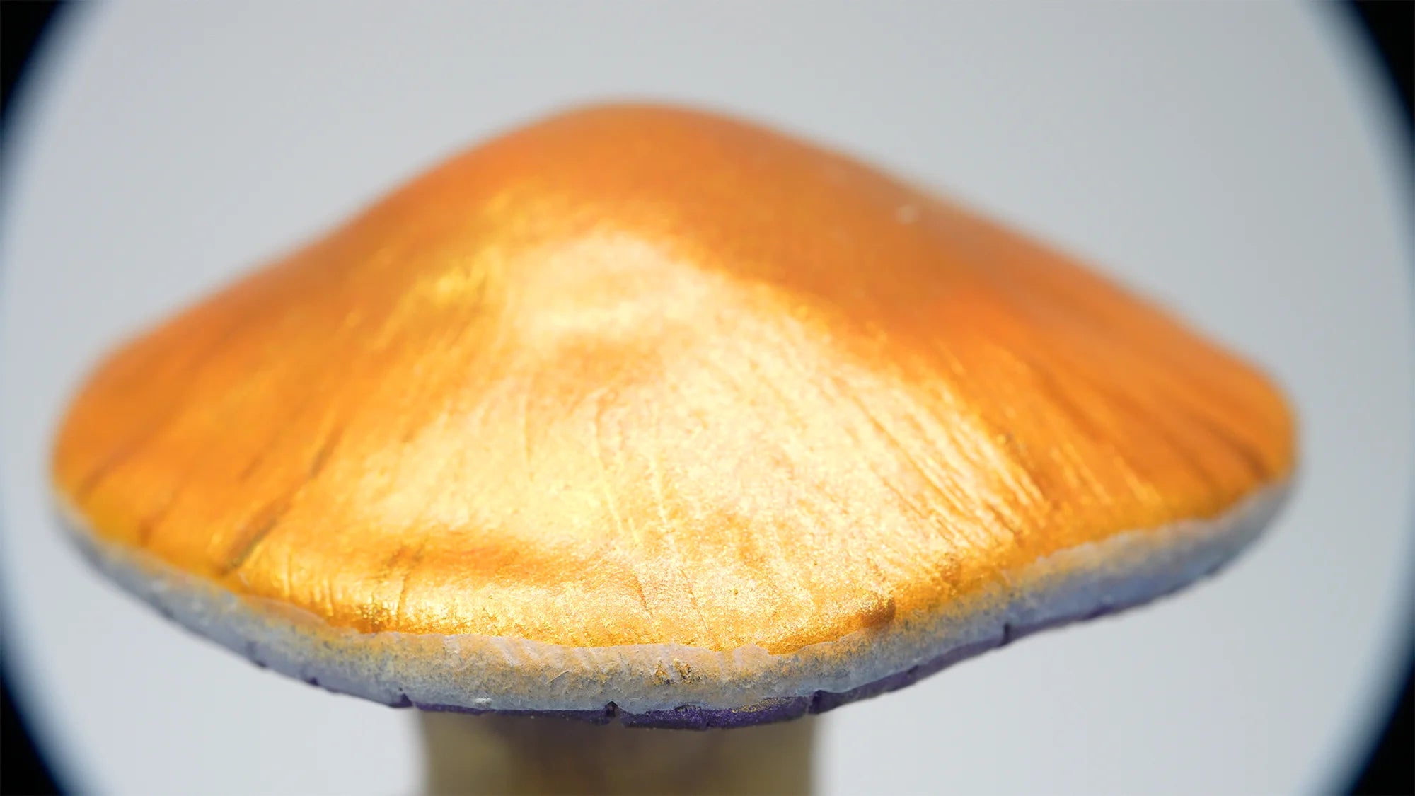 SPY26S7 • Handmade Magic Mushroom Decor Art on Thrifted Glass Base