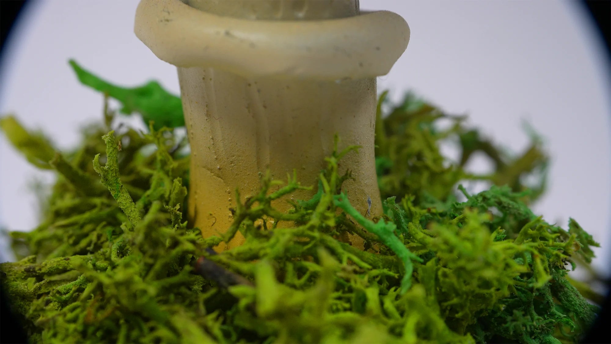 SPY26S1 • Handmade Magic Mushroom Decor on Flared Square Thrifted Glass Base (1 of 2)