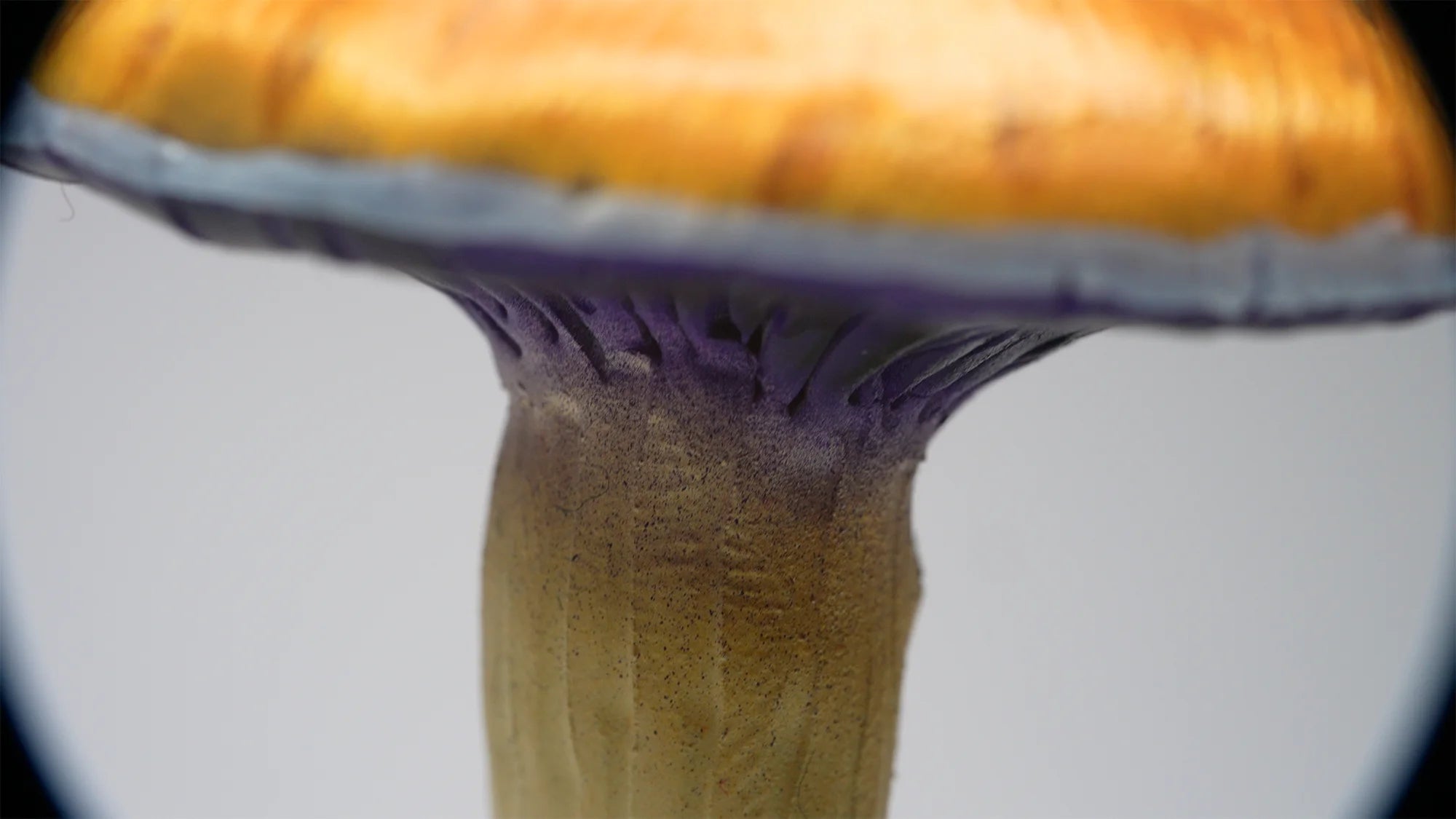 SPY26S1 • Handmade Magic Mushroom Decor on Flared Square Thrifted Glass Base (1 of 2)