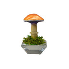 SPY26S1 • Handmade Magic Mushroom Decor on Flared Square Thrifted Glass Base (1 of 2)