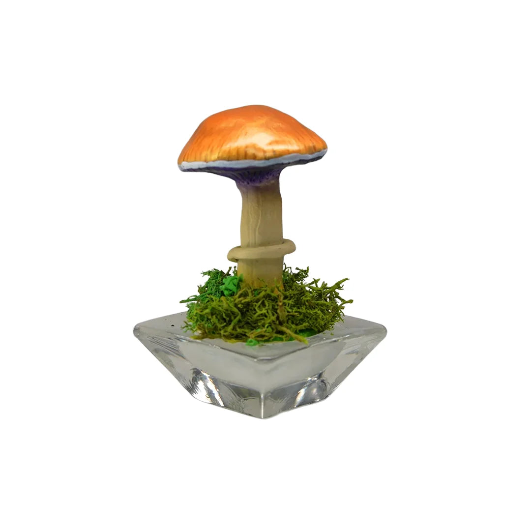 SPY26S1 • Handmade Magic Mushroom Decor on Flared Square Thrifted Glass Base (1 of 2)