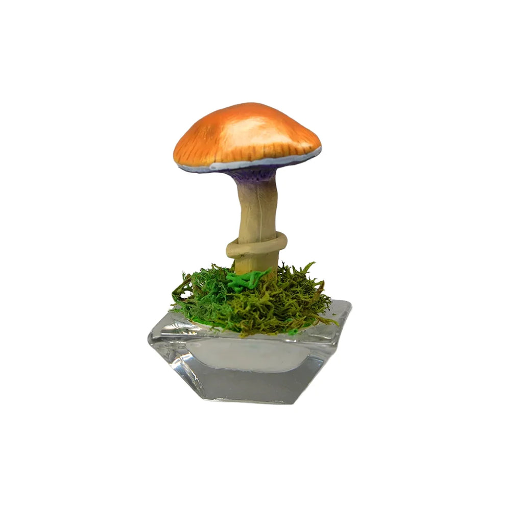 SPY26S1 • Handmade Magic Mushroom Decor on Flared Square Thrifted Glass Base (1 of 2)