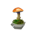 SPY26S1 • Handmade Magic Mushroom Decor on Flared Square Thrifted Glass Base (1 of 2)