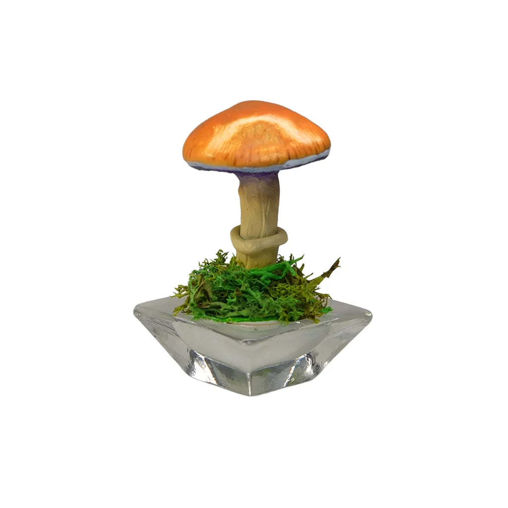 SPY26S1 • Handmade Magic Mushroom Decor on Flared Square Thrifted Glass Base (1 of 2)