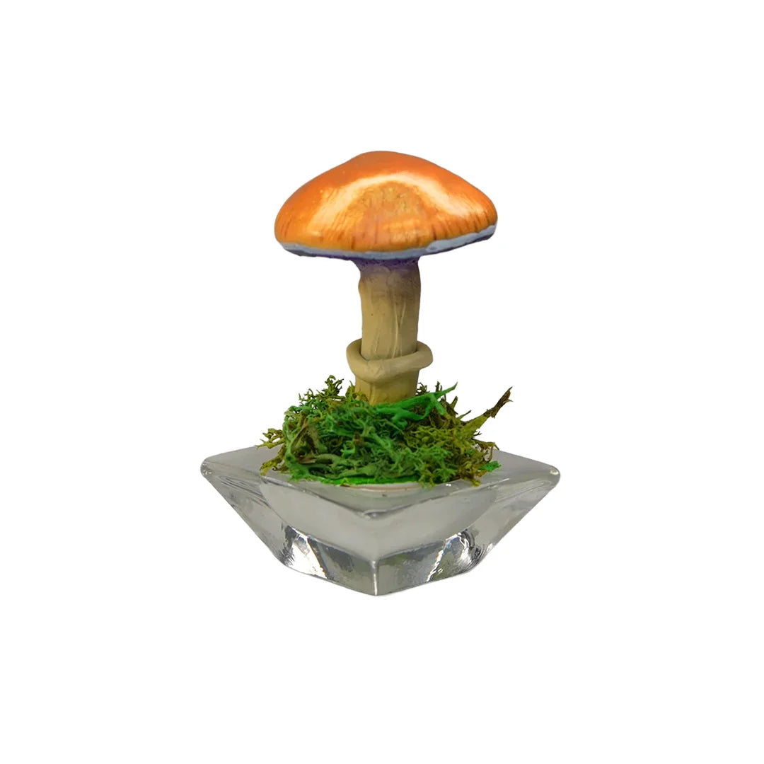 SPY26S1 • Handmade Magic Mushroom Decor on Flared Square Thrifted Glass Base (1 of 2)