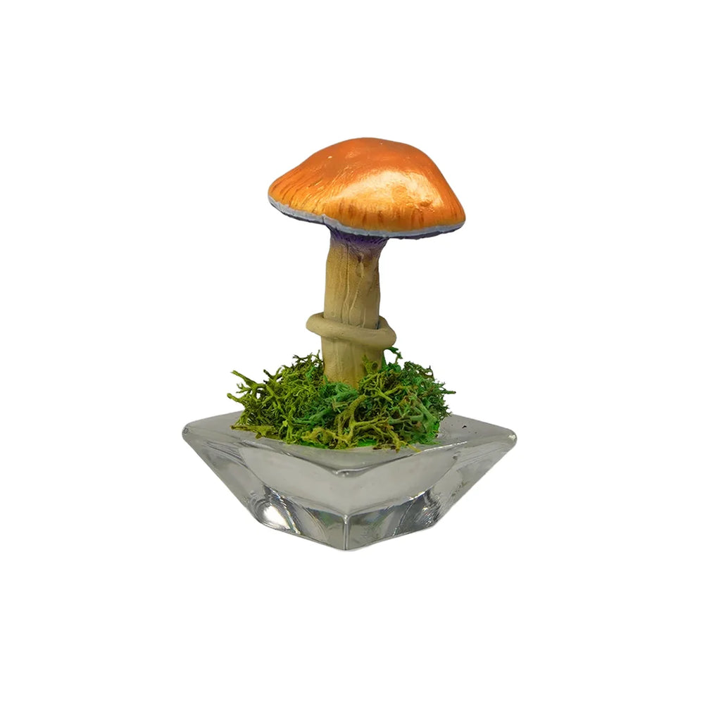 SPY26S1 • Handmade Magic Mushroom Decor on Flared Square Thrifted Glass Base (1 of 2)