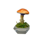 SPY26S1 • Handmade Magic Mushroom Decor on Flared Square Thrifted Glass Base (1 of 2)