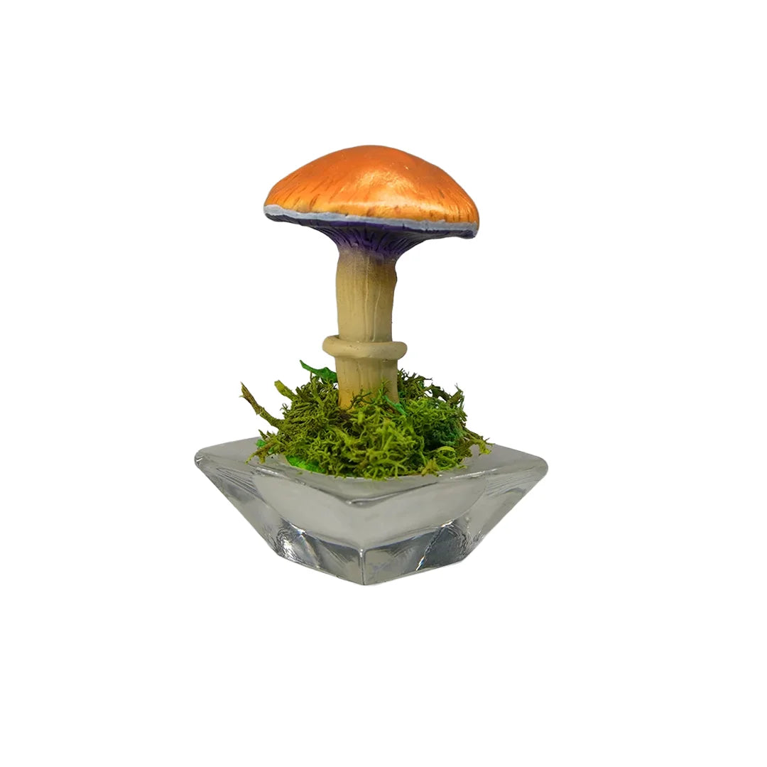 SPY26S1 • Handmade Magic Mushroom Decor on Flared Square Thrifted Glass Base (1 of 2)