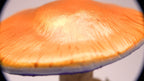 SPY26M4 • Handmade Magic Mushroom Decor on Thrifted Blue Glass Base (2 of 2)
