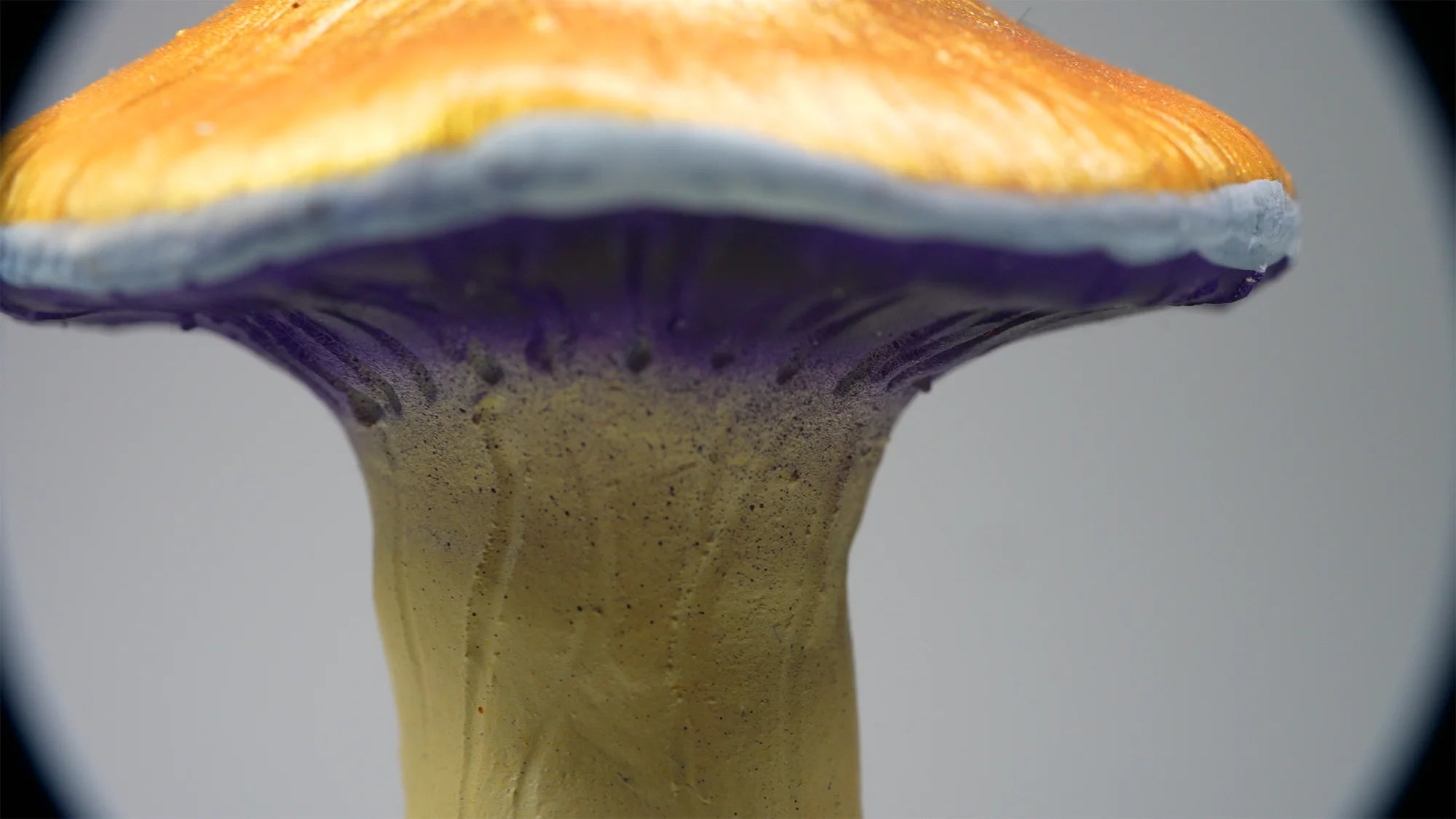 SPY26M2 • Handmade Magic Mushroom Decor on Thrifted Glass Base