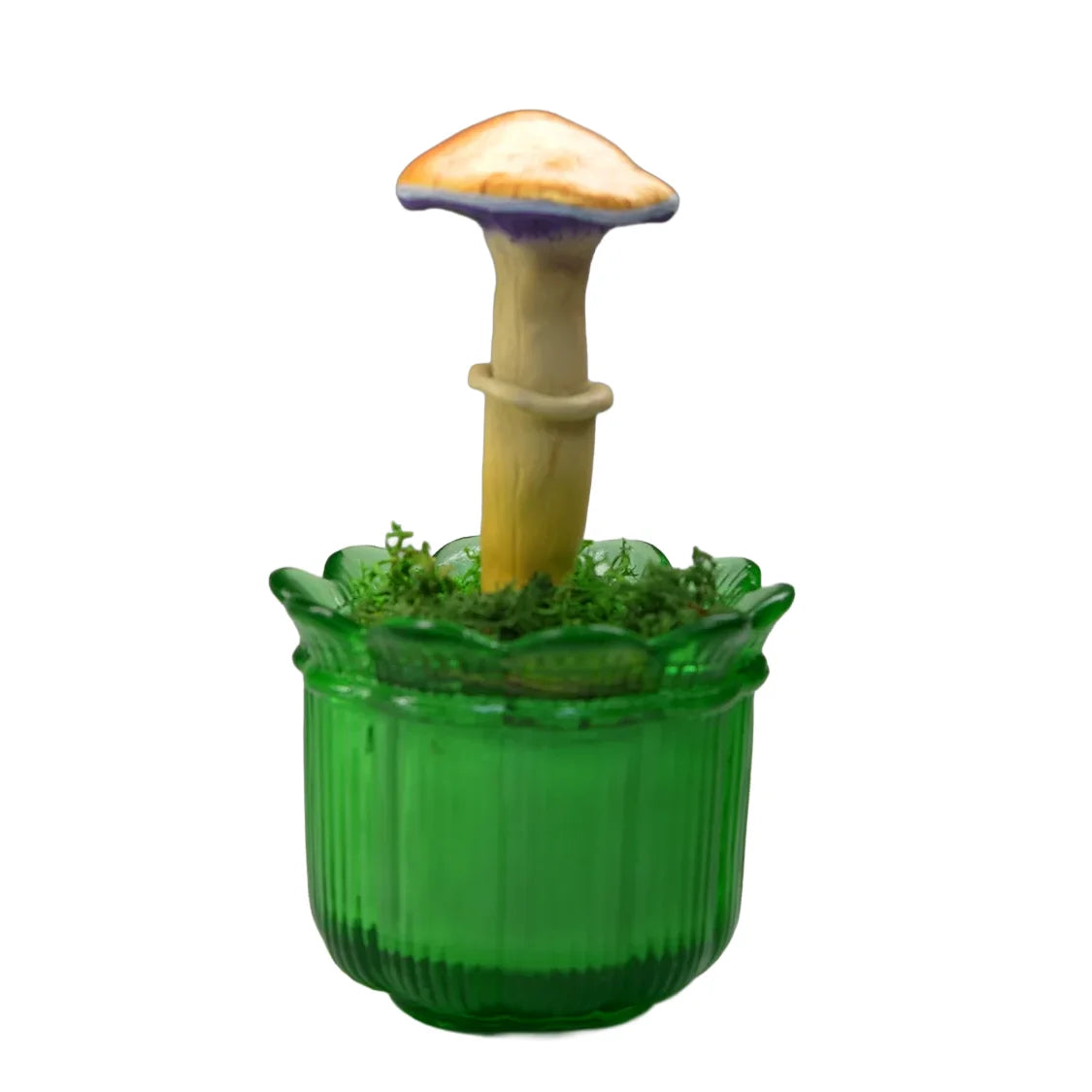 SPY26M2 • Handmade Magic Mushroom Decor on Thrifted Glass Base