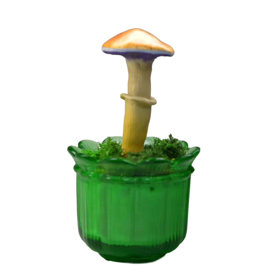 SPY26M2 • Handmade Magic Mushroom Decor on Thrifted Glass Base