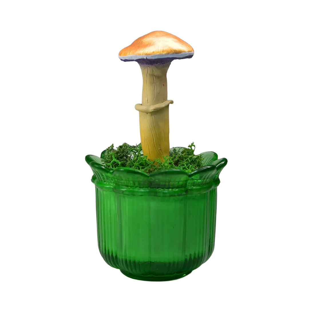 SPY26M2 • Handmade Magic Mushroom Decor on Thrifted Glass Base