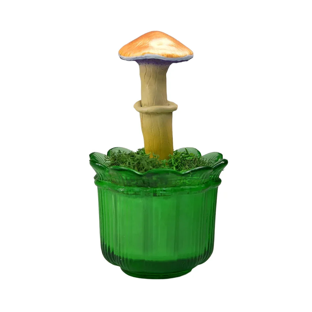 SPY26M2 • Handmade Magic Mushroom Decor on Thrifted Glass Base