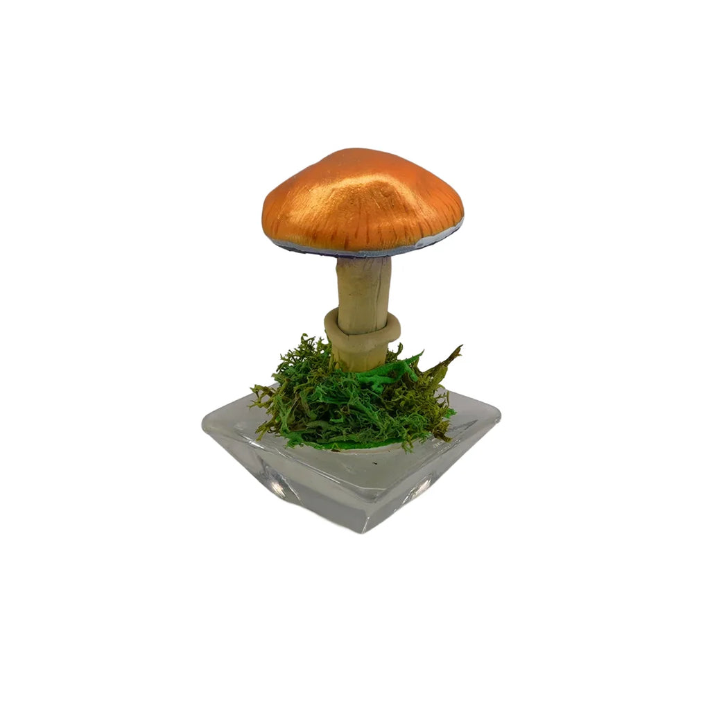 SPY26S2 • Handmade Magic Mushroom Decor on Flared Square Thrifted Glass Base (2 of 2)