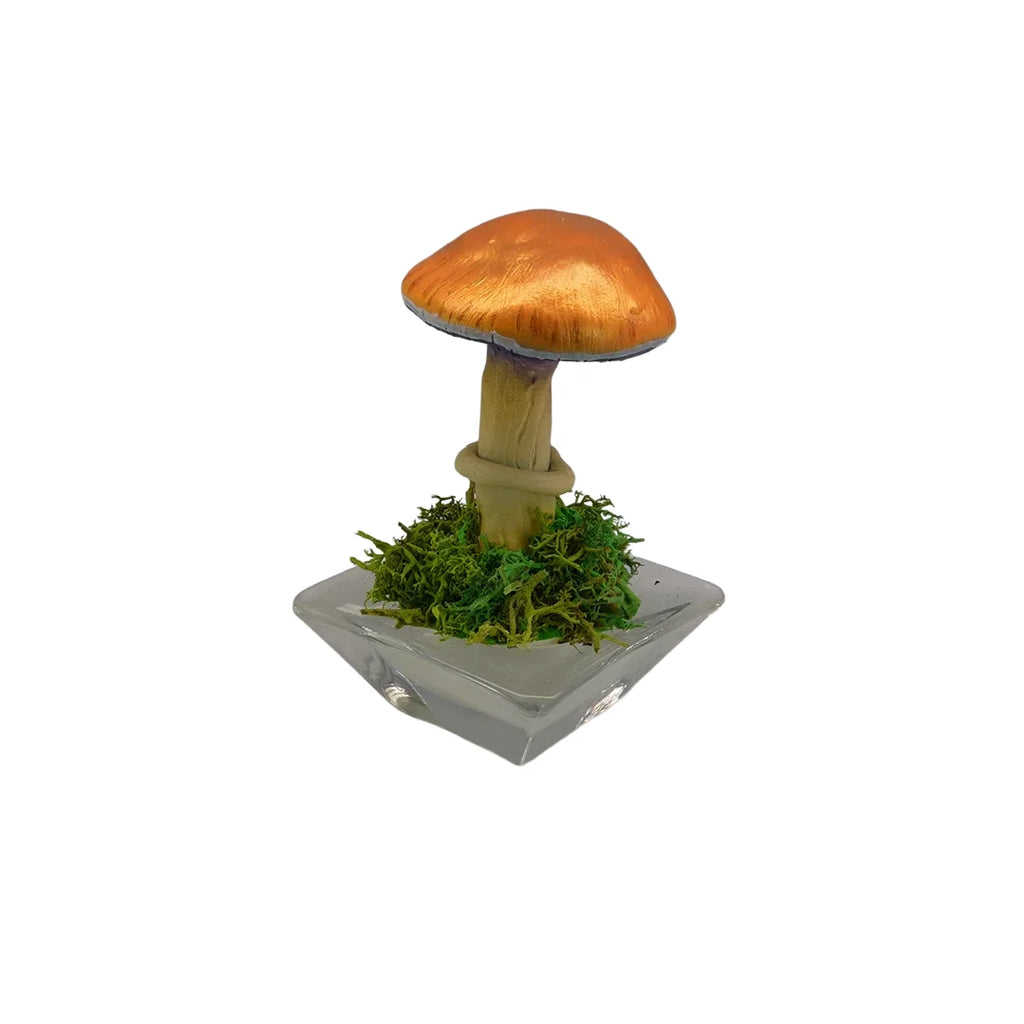 SPY26S2 • Handmade Magic Mushroom Decor on Flared Square Thrifted Glass Base (2 of 2)