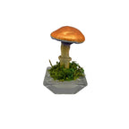 SPY26S2 • Handmade Magic Mushroom Decor on Flared Square Thrifted Glass Base (2 of 2)