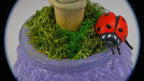 SPY26M6E • Handmade Magic Mushroom Decor on Thrifted Purple Glass Base with Bee and Ladybug Embellishments