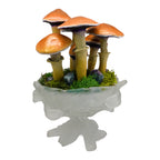 SPY2026L1 • Magic Mushroom Constellation Raised Goblet Decor with Raw Flourite • Handmade